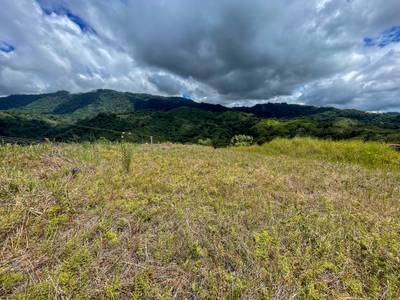 Stunning Lot for Sale in Southern Costa Rica – A Rare Opportunity! image 5