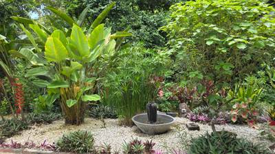 Private Waterfall Retreat in Costa Rica with Total Privacy  image 4