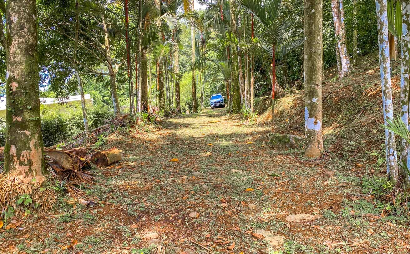 Large Uvita Lot with Whale’s Tail Ocean Views, Sunsets & Legal Water – Ready to Build selected