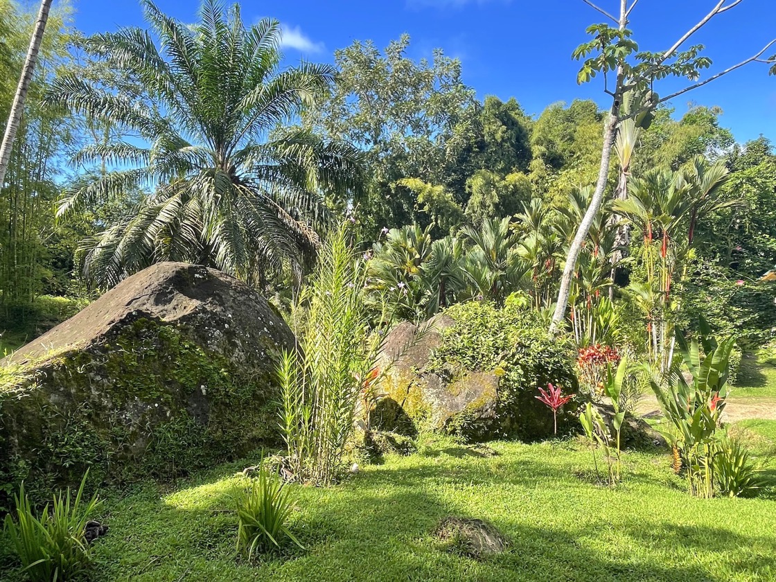 Casa Tranquila: Refined Ocean-View Estate in Lagunas selected