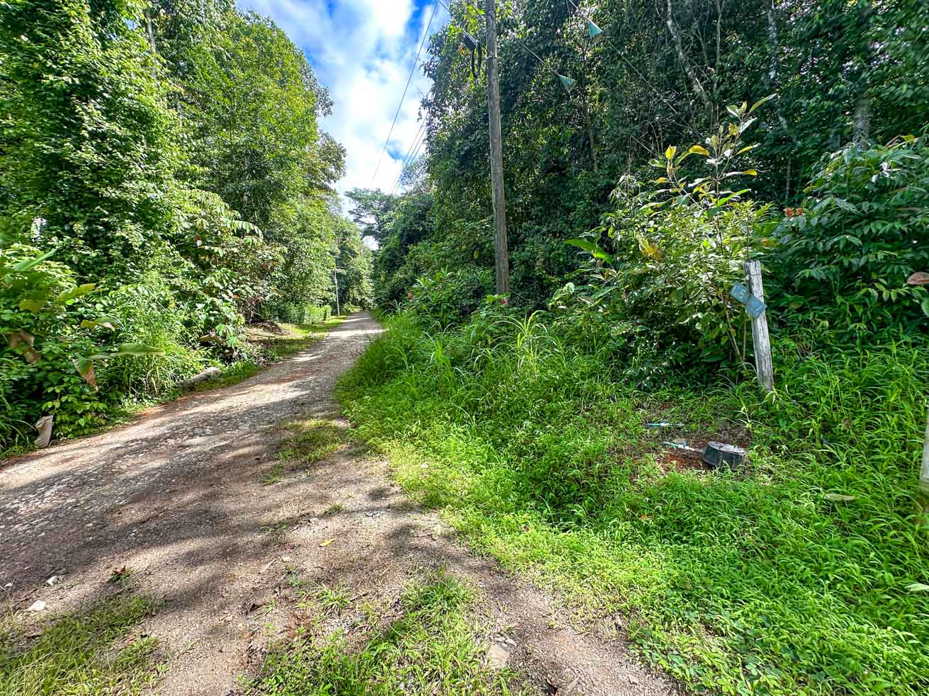 Wonderful Jungle Lot with a Crystal Mountain River Border in Ojochal selected