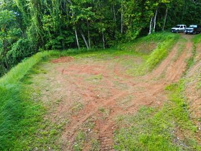 Build-Ready Ocean View Homesite Above Uvita – Iconic Ballena Rock Views & Prime Hillside Setting image 5
