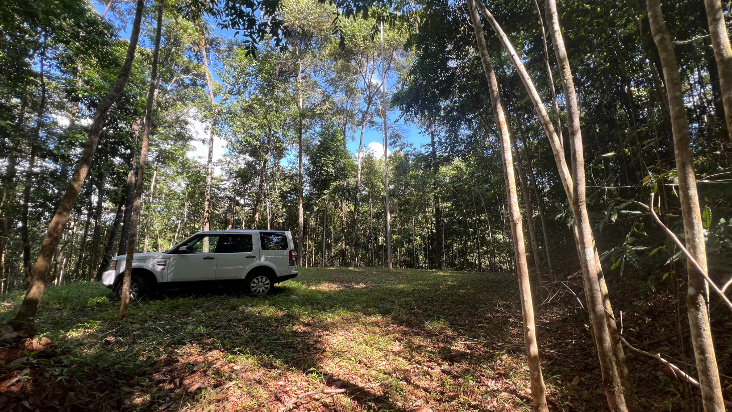 Build Ready Home Site with Easy Access in a Lush Rainforest Setting selected
