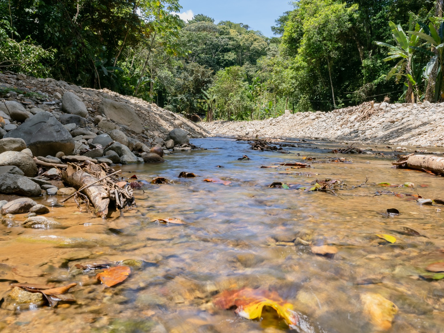 Riverfront Property with 3.26 Acres of Nature, Convenience, and Development Potential selected