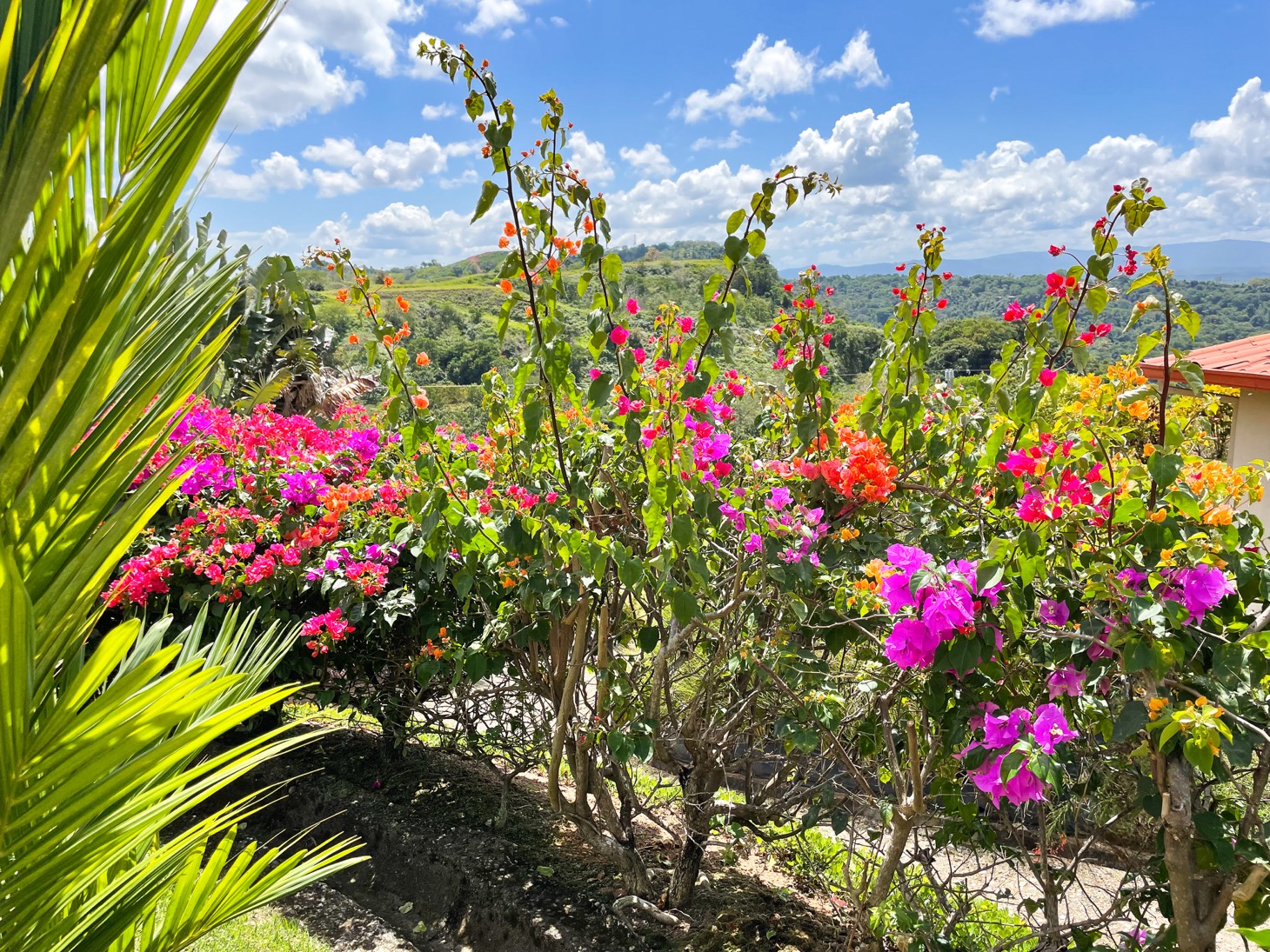 Spectacular Three-Bedroom Ocean View Retreat in Exclusive Chontales selected