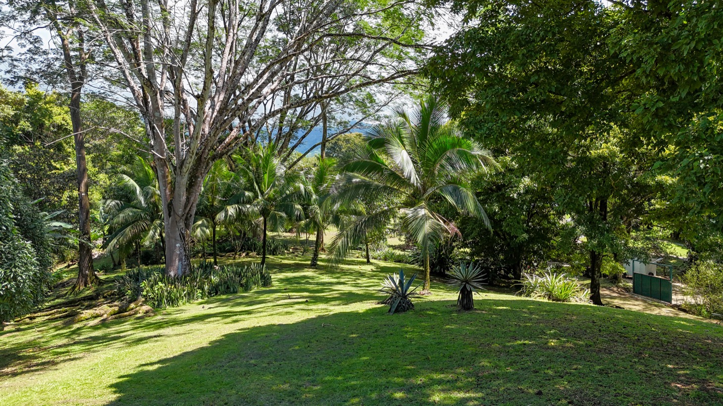 Prime Development Opportunity in Desirable Ojochal Location selected