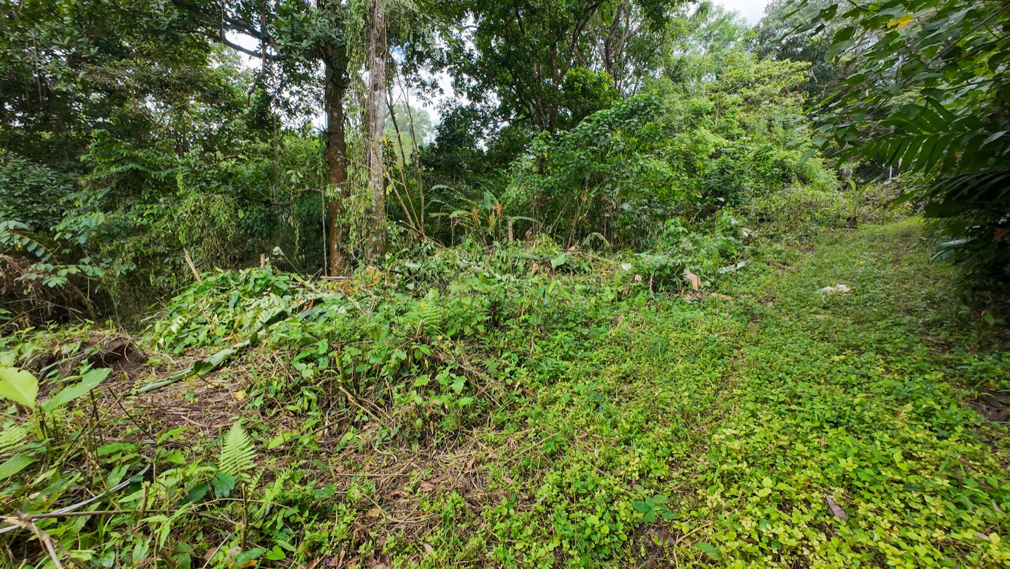 Riverfront Property for Sale in Ojochal, Costa Rica – Nearly 1 Hectare of Flat, Buildable Land selected