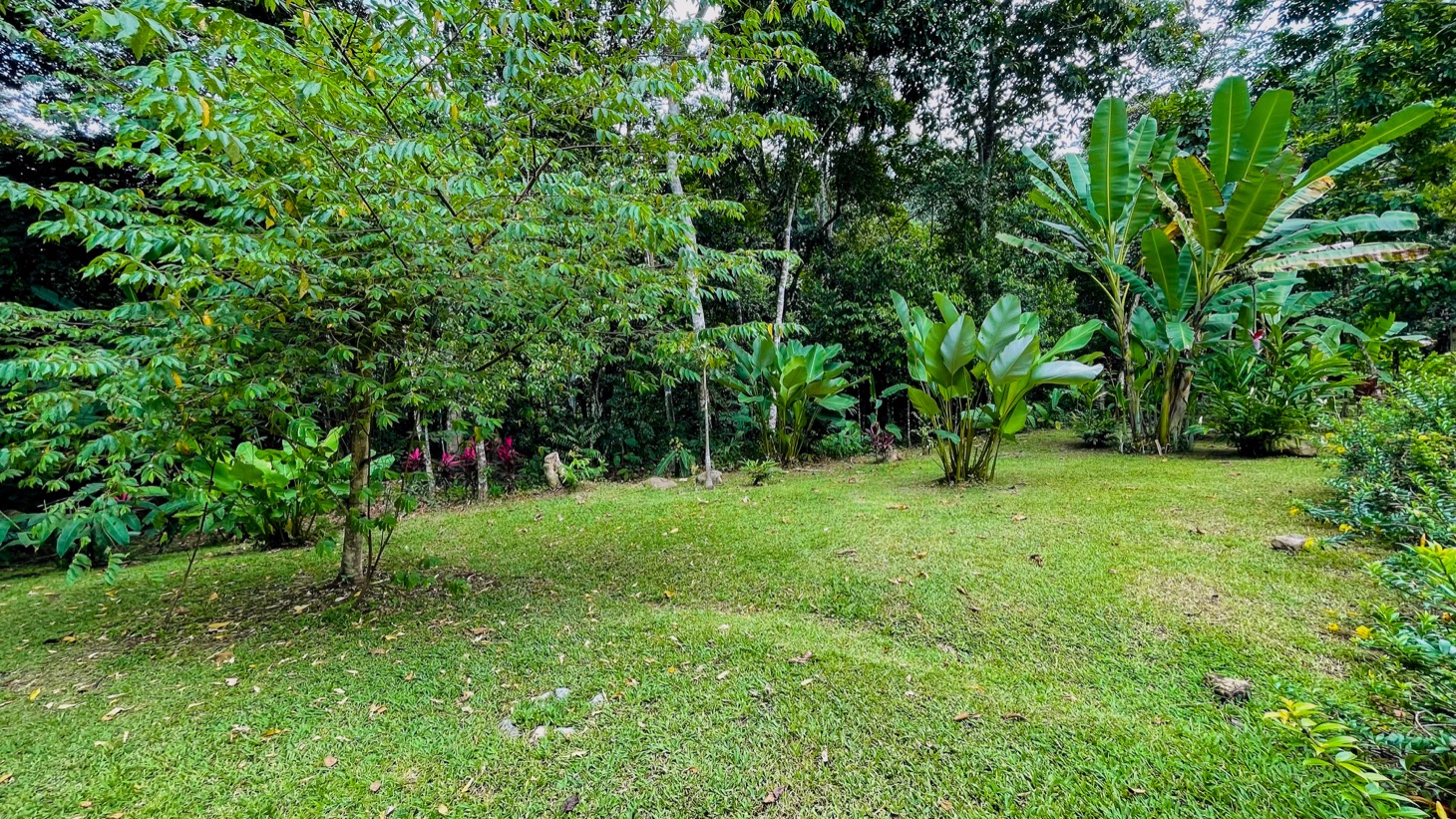 Contemporary Jungle Retreat in Tres Rios, Costa Rica selected