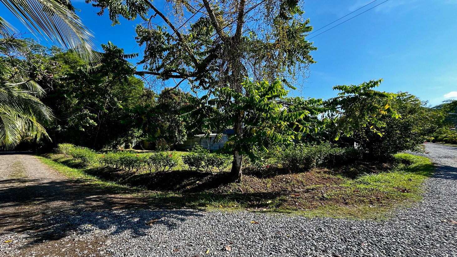 MAGICAL CORNER LOT IN UVITA w/ 8-MINUTE WALK TO NATIONAL PARK BEACH selected
