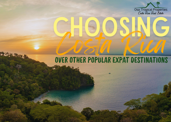 Why Choose Costa Rica Over Other Popular Expat Havens?