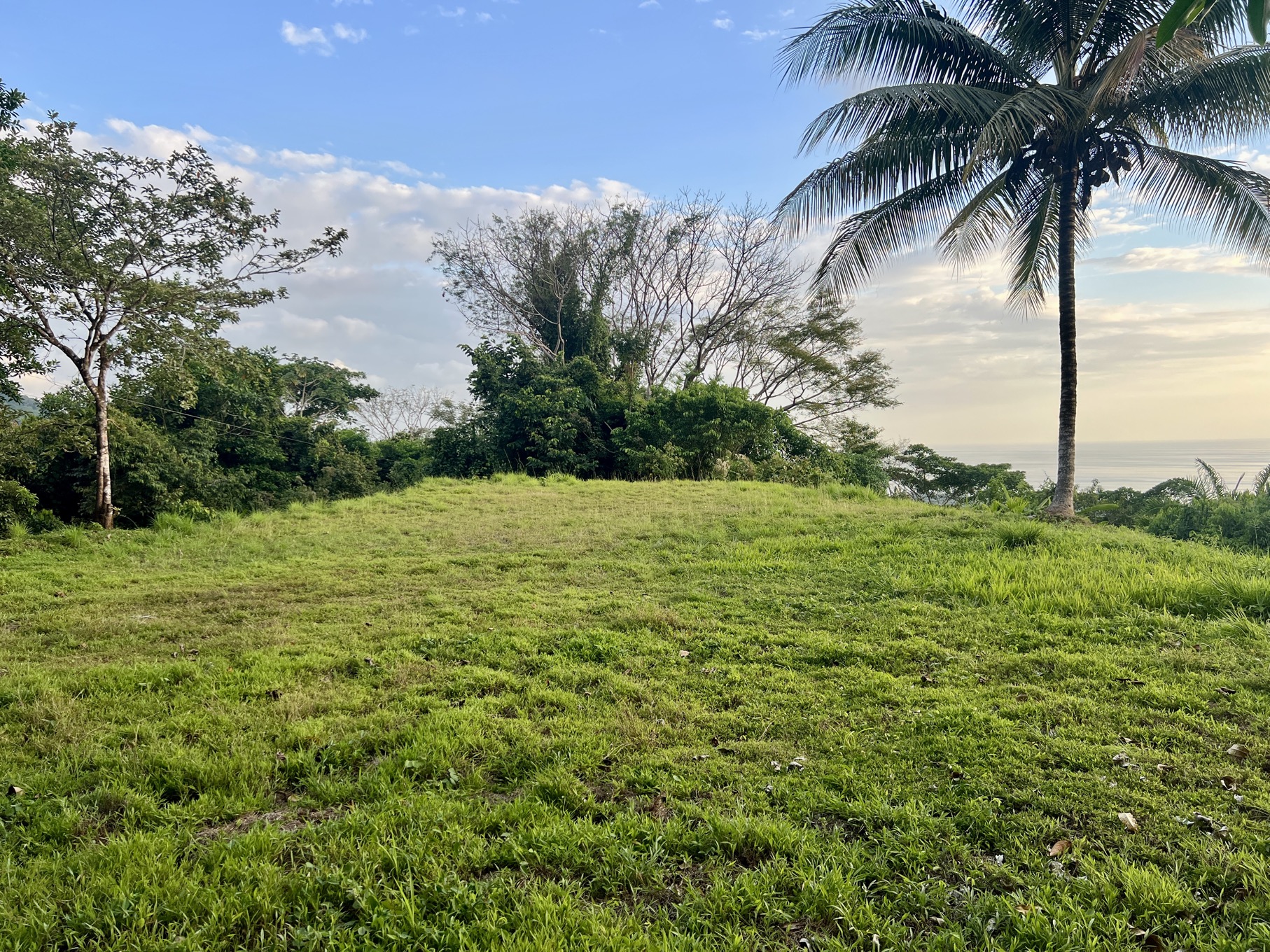 3.57-Acre Ocean View Estate Parcel with Creek & Sunset Exposure Near Dominical selected