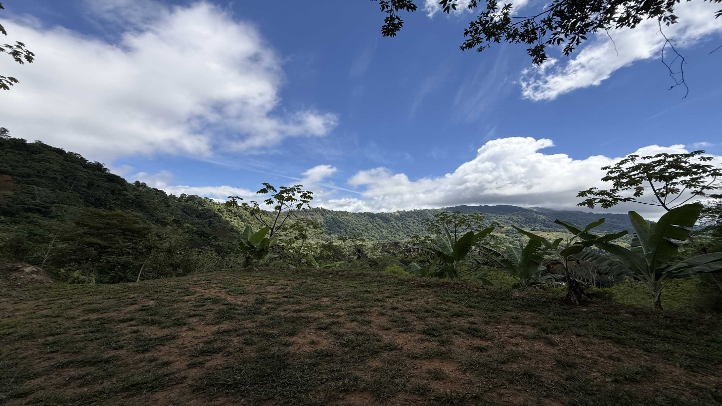 Jungle Lot with 3+ Building Sites, Legal Water, Electricity on Public Road with Big Valley & Mountain Views near San Josecito Costa Rica selected
