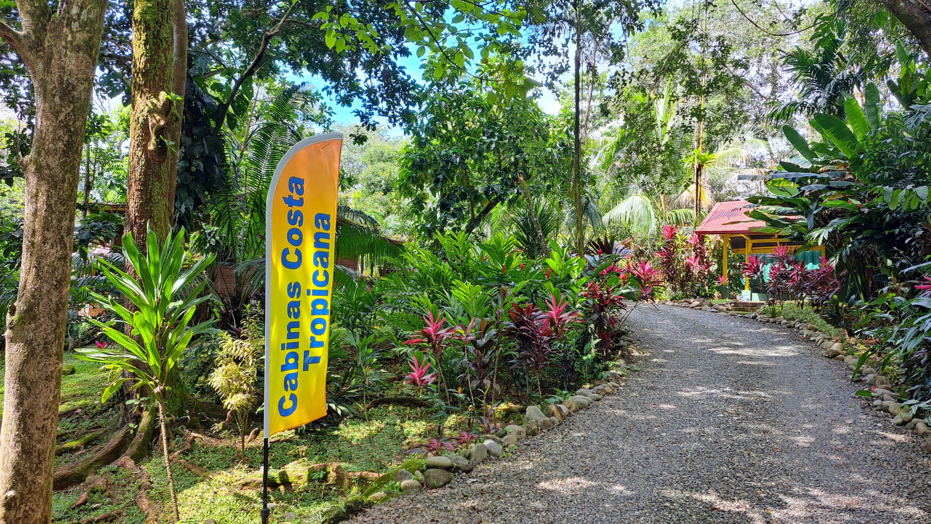 Income Producing Jungle Retreat with 8 Cabinas and Pool in the Heart of Uvita selected