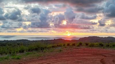 Spectacular Jungle Estate Property with Panoramic Ocean Views image 2