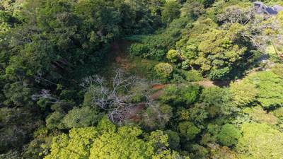 Premium Ocean View Homesite in Vista Dominical Estates - Lot #17 image 2