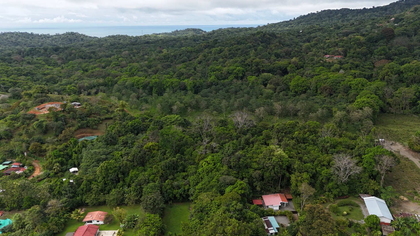 Property for Sale in Ojochal With 2.93 Hectares & Development Potential selected