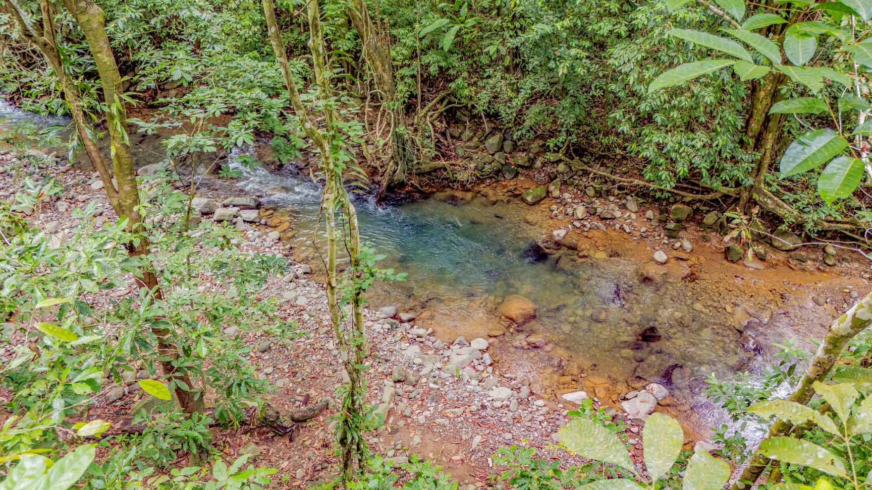 Jungle-Immersed Modern Retreat with Riverfront, Pool, and Expansion Potential in Cinco Ventanas selected