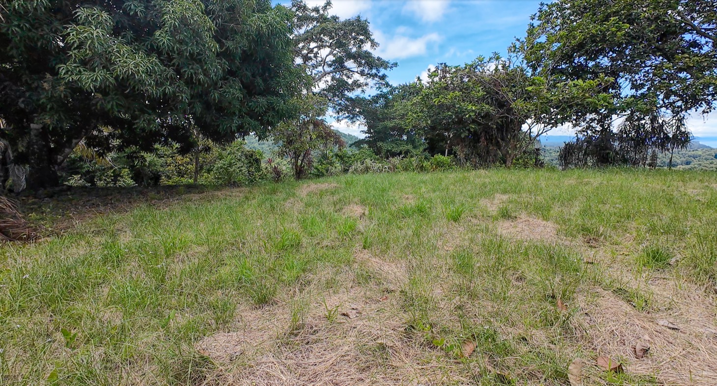 Stunning 16 acre Ocean View Property San Buenas, Costa Rica  selected