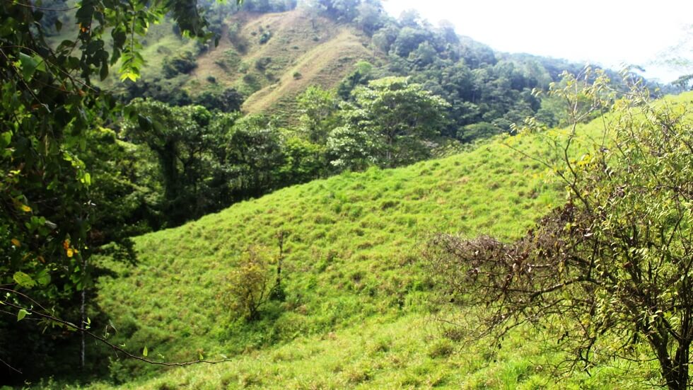 Beautiful 72 Acre Farm In Uvita With Waterfalls And Ocean Views selected