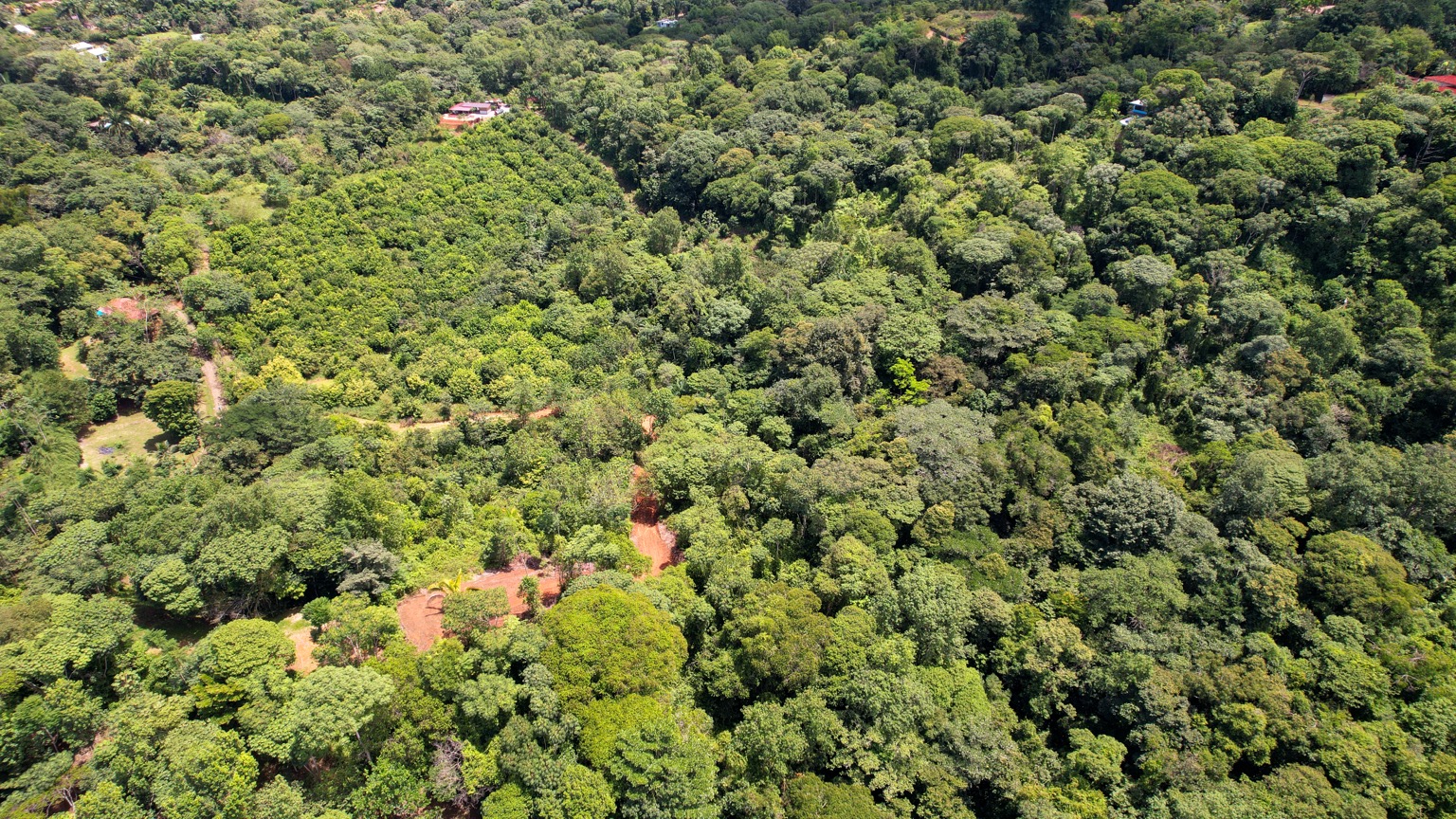 Premium 9.3-Hectare Farm for Sale in Ojochal, Costa Rica selected
