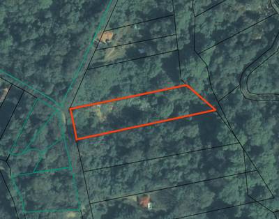 Riverfront Property for Sale in Ojochal, Costa Rica – Nearly 1 Hectare of Flat, Buildable Land image 2