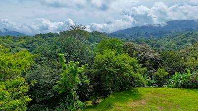 Ocean View Land Within a Few Minutes to Uvita image 5