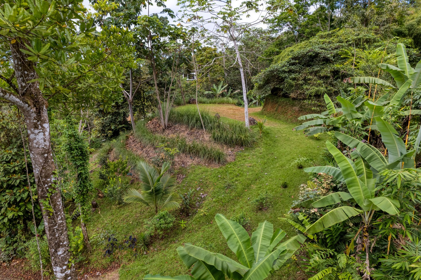 Two Modern Homes with Mountain View, Creek Access, and Multiple Building Sites in Tumbas, Tinamastes selected