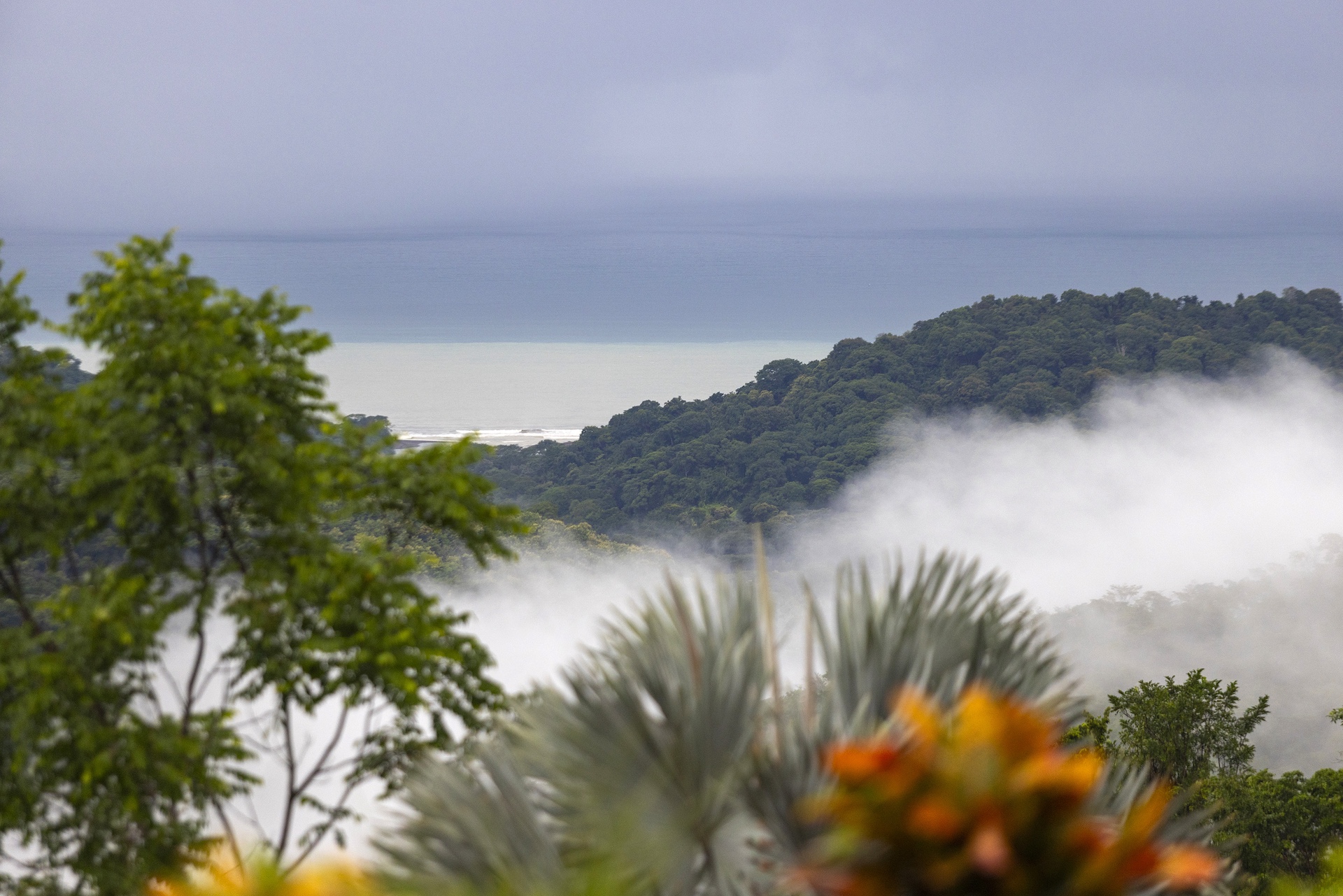 Elegant Mountain Retreat with Ocean and Jungle Views in a Private Gated Community selected