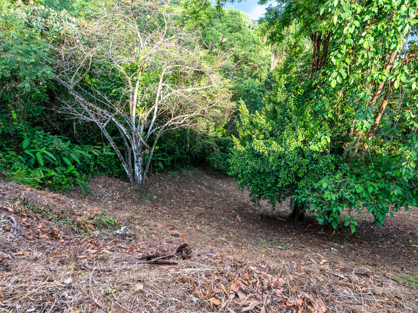 Ocean & Sunset View Lot for Sale in Ojochal, Costa Rica selected