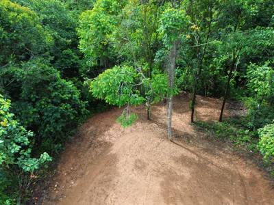 Discover Your Dream Lot in the Heart of Caracara Ridge, Ojochal image 4