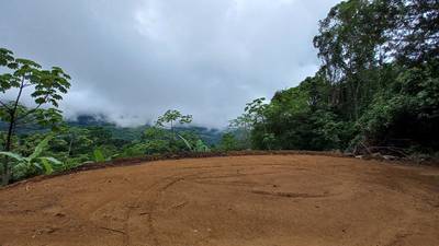 Mountain View Land with Several Building Sites and Mature Fruit Trees image 3