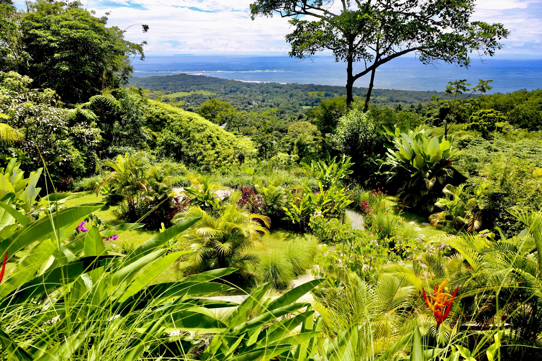A World-Class Architectural Sanctuary with Panoramic Ocean Views in Uvita selected