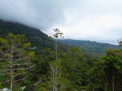 Build-Ready Ocean View Homesite Above Uvita – Iconic Ballena Rock Views & Prime Hillside Setting image 4