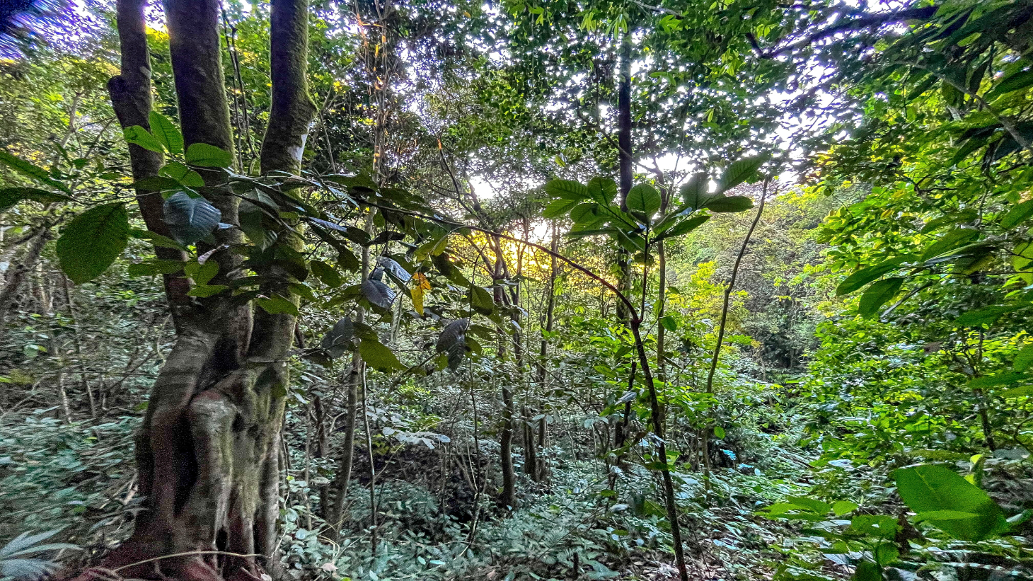Stunning Mountain & Valley Views in Pura Vida Falls – Prime Property Ready to Build  selected