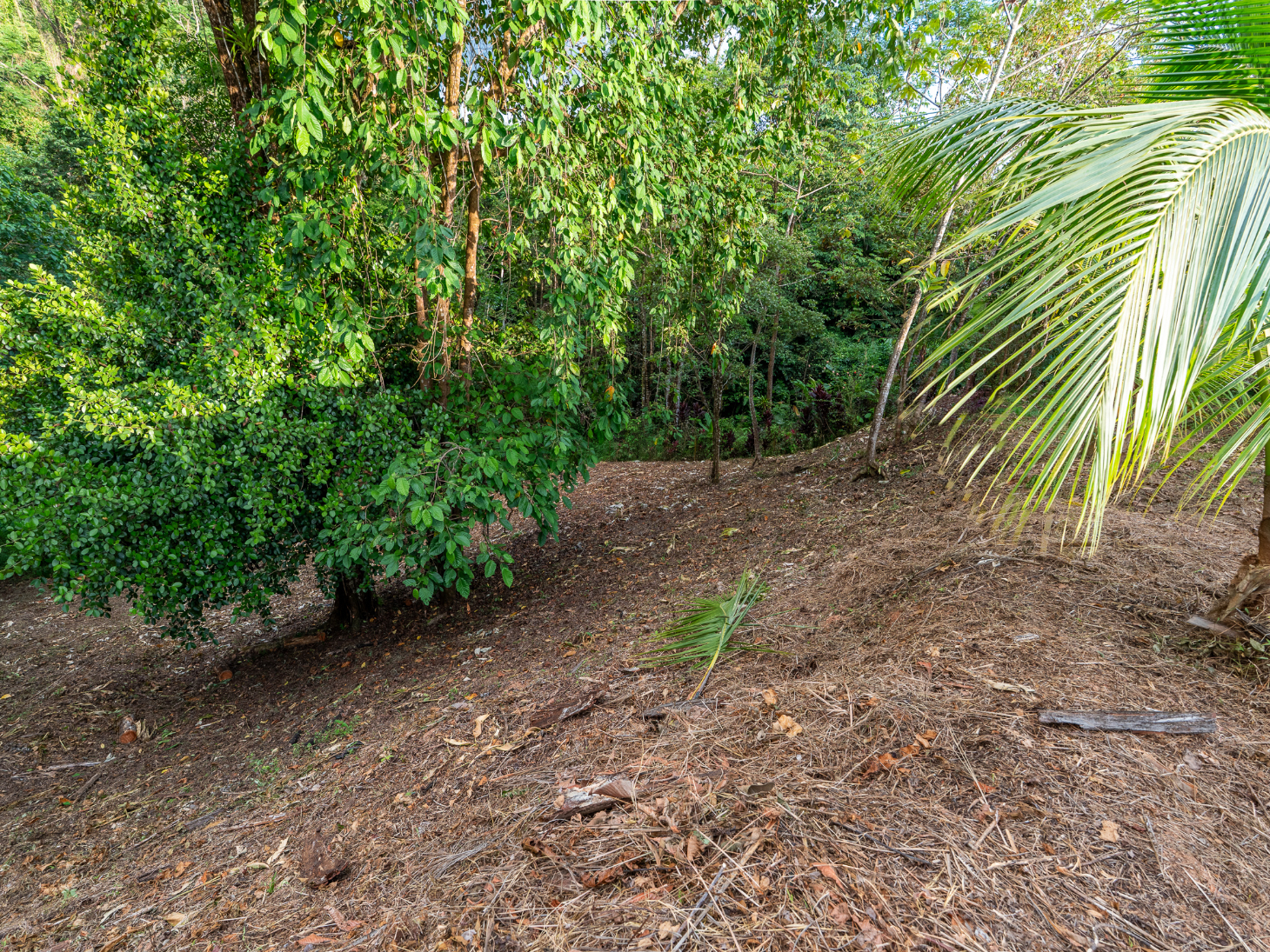 Ocean & Sunset View Lot for Sale in Ojochal, Costa Rica selected