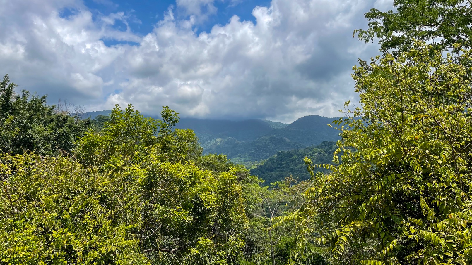 Ocean View Land for Sale in Uvita, Costa Rica | Whale Tail View | Private Gated Community | Ready to Build selected