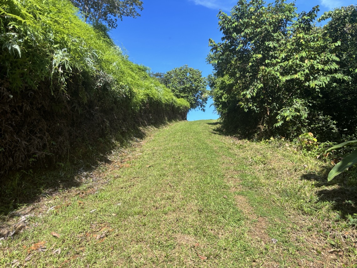 Two Ocean View Properties in Ojochal – 5.33 Acres of Pure Paradise selected