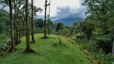 Secluded 4.5-Hectare Riverfront Oasis Near Hatillo & Dominical – Dos Bocas, Costa Rica image 4