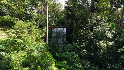 1.7 Acres Ocean View with Income-Generating Cabin – Uvita image 4