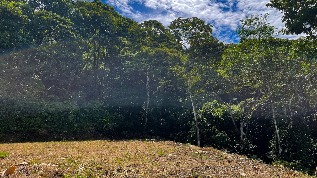 Whale's Tail and Ocean View lot for Sale in Costa Verde, Escaleras, Costa Rica selected