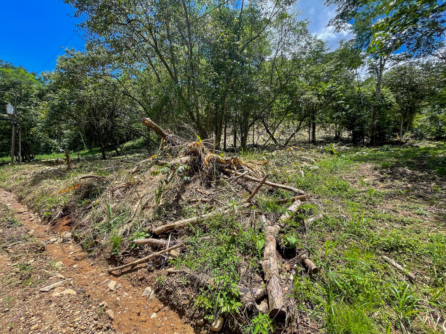 Your Private Mountain Sanctuary Awaits selected