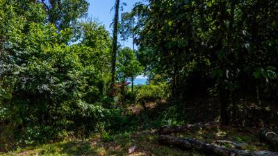 Tropical Sanctuary Above Uvita: 5-Acre Jungle Estate with incredible Mountain Views image 5