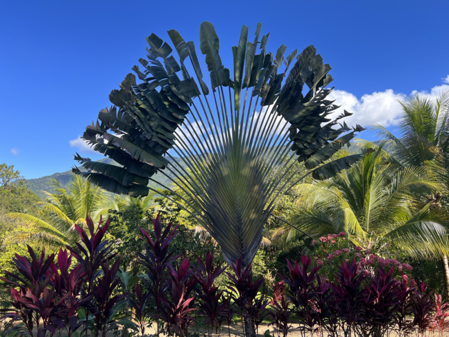Peaceful Two-Bedroom Home in an Intimate Shared Estate selected