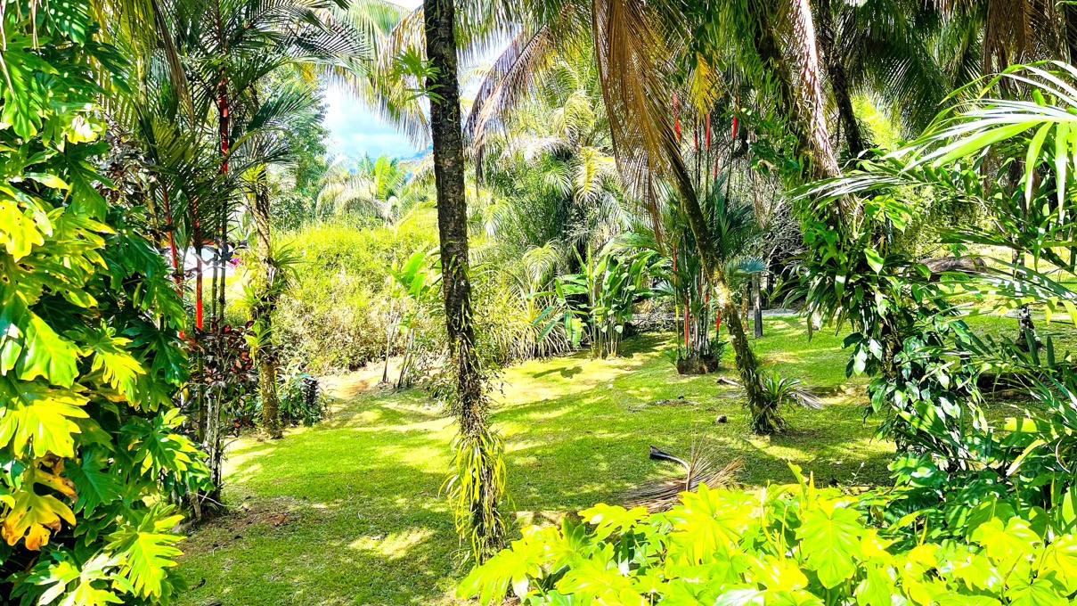 Charming 3 Bedroom Home with Lush Garden Acreage and Pocket Ocean View selected