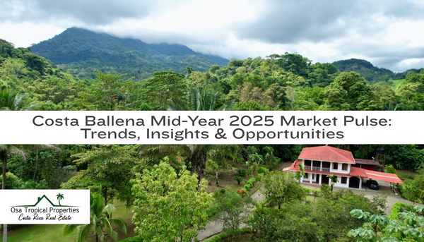 Costa Ballena Mid-Year 2025 Market Pulse: Trends, Insights & Opportunities