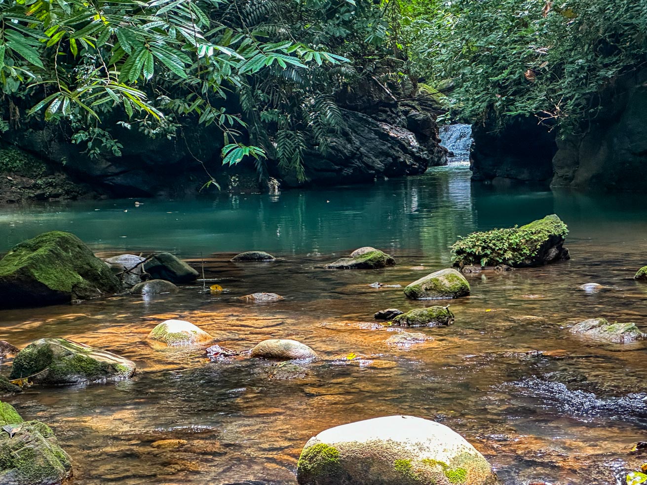 Exceptional 12-Acre Investment Property in Central Ojochal – Riverfront Jungle Estate with Home, Cabin, Workshop & Endless Development Potential selected