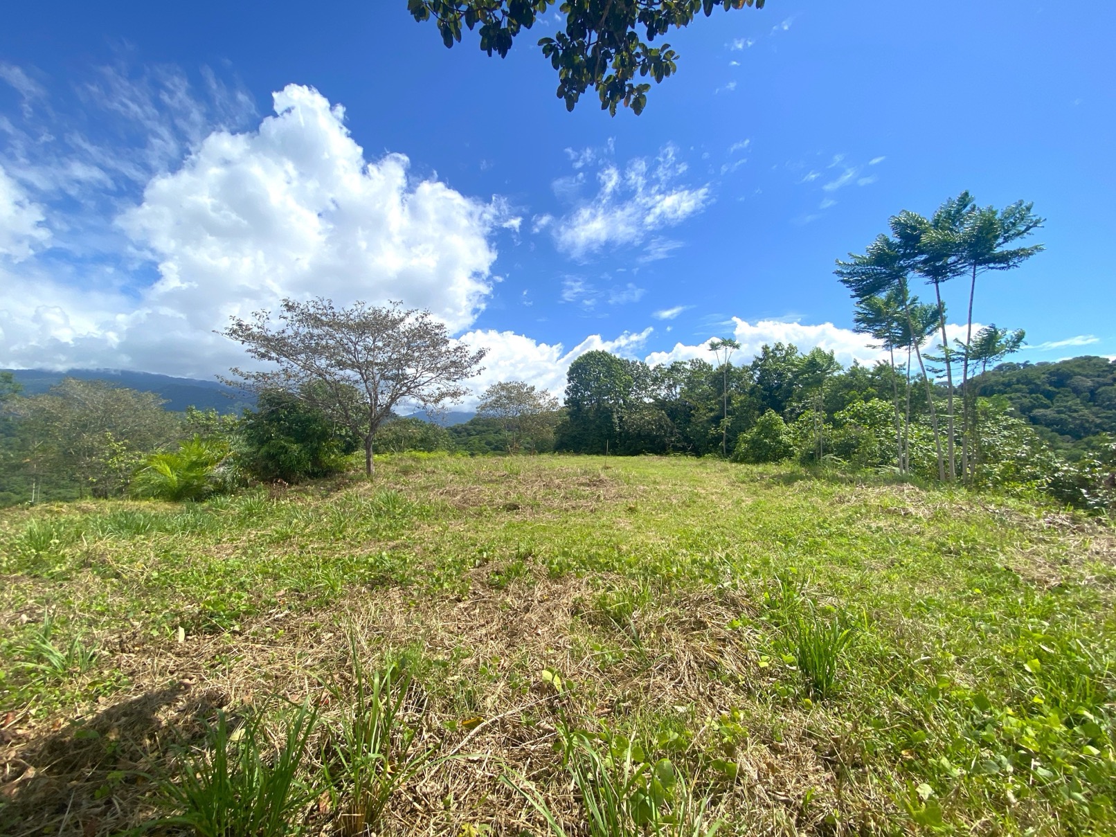 Two Ocean View Properties in Ojochal – 5.33 Acres of Pure Paradise selected