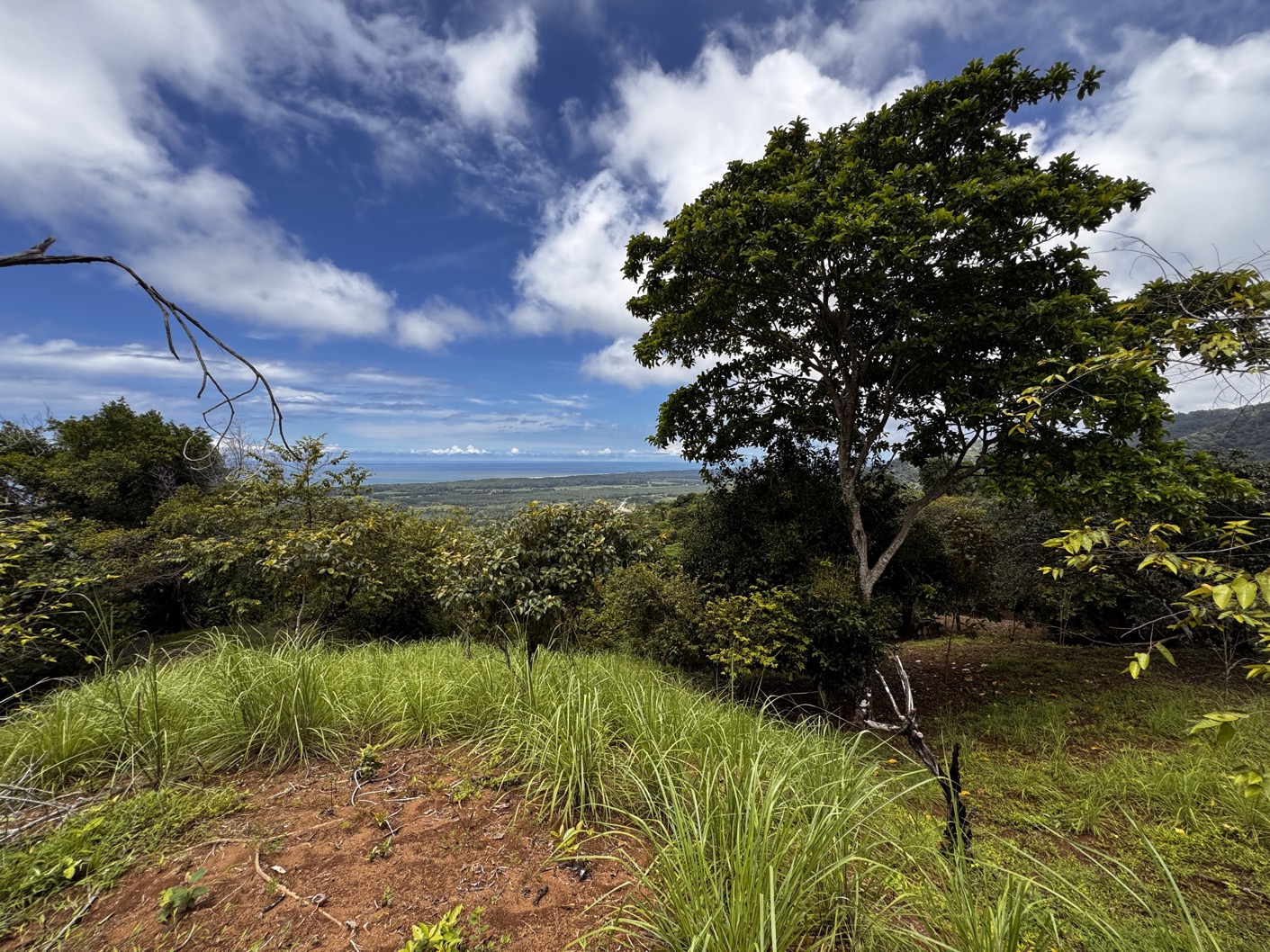 Expansive Ocean View Farm Near Playa Linda – Prime Development Opportunity with Year-Round Sunsets selected