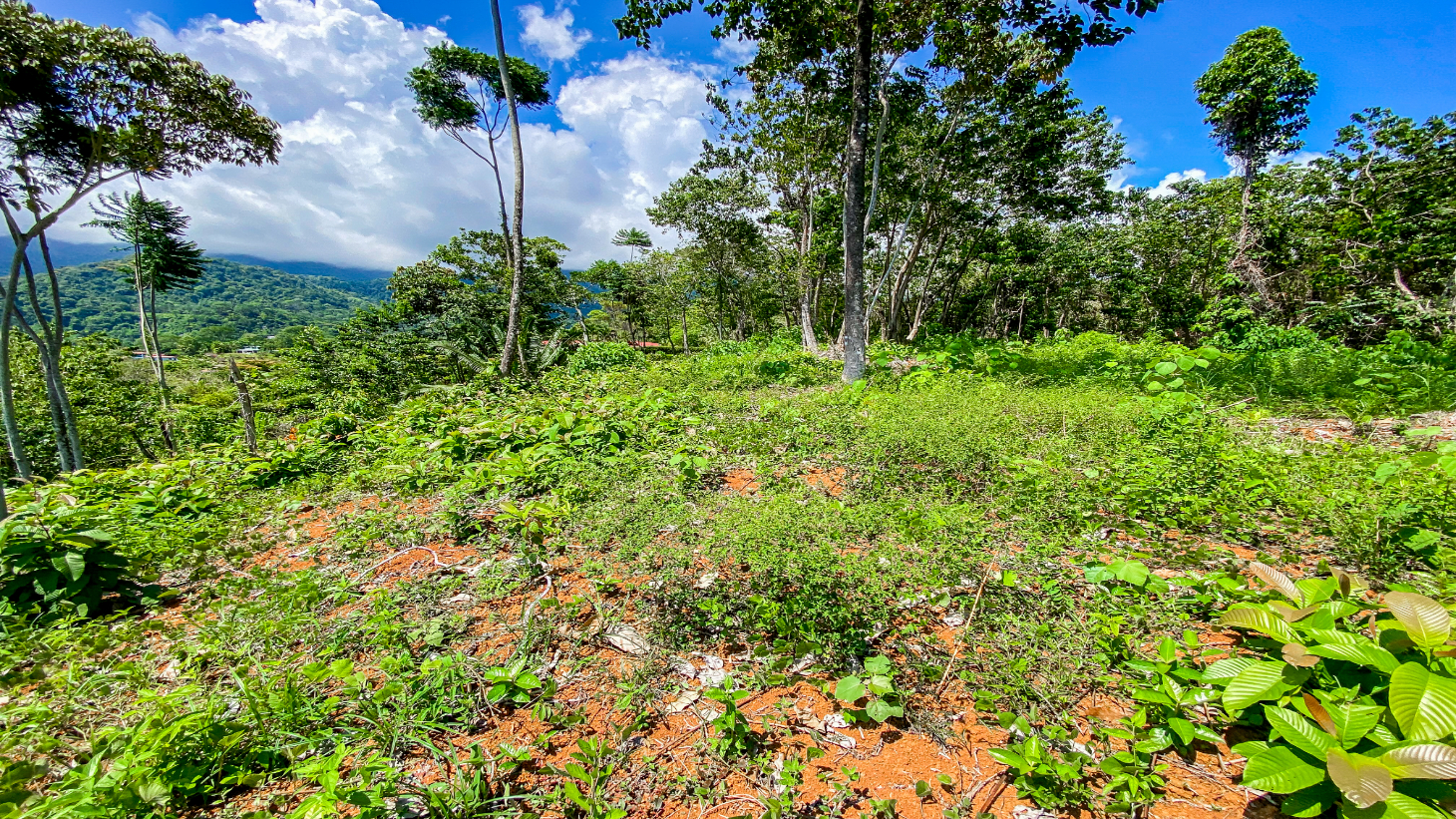 5.75 Acre Land for Sale in Ojochal | Ocean View Development Property selected