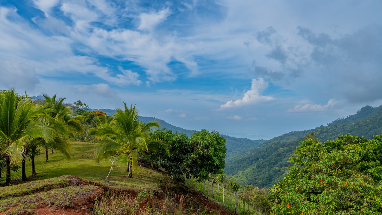 Ocean View Development Property with Waterfall Vista — 14.83 Acres in San Luis de Morete, Near Uvita selected